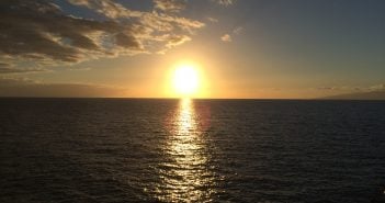 Whale Watching Teneriffa Sonnenuntergang