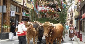 Fronleichnam Prozession La Orotava Viehwagen