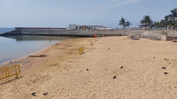 Gran Canaria Abwasser Strand La Lajilla gesperrt Sand