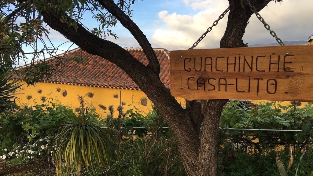 Gastro-Streit auf Teneriffa: Was ist eine Guachinche?