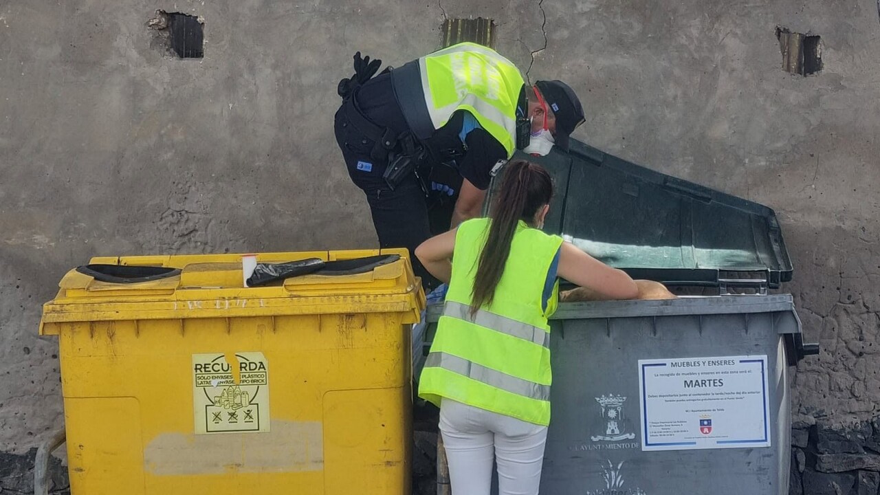 Gran Canaria: Sechs „Kampfhunde“ im Müll entdeckt – Polizei bittet um Hilfe