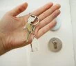 Immobilien Schlüssel Kanaren