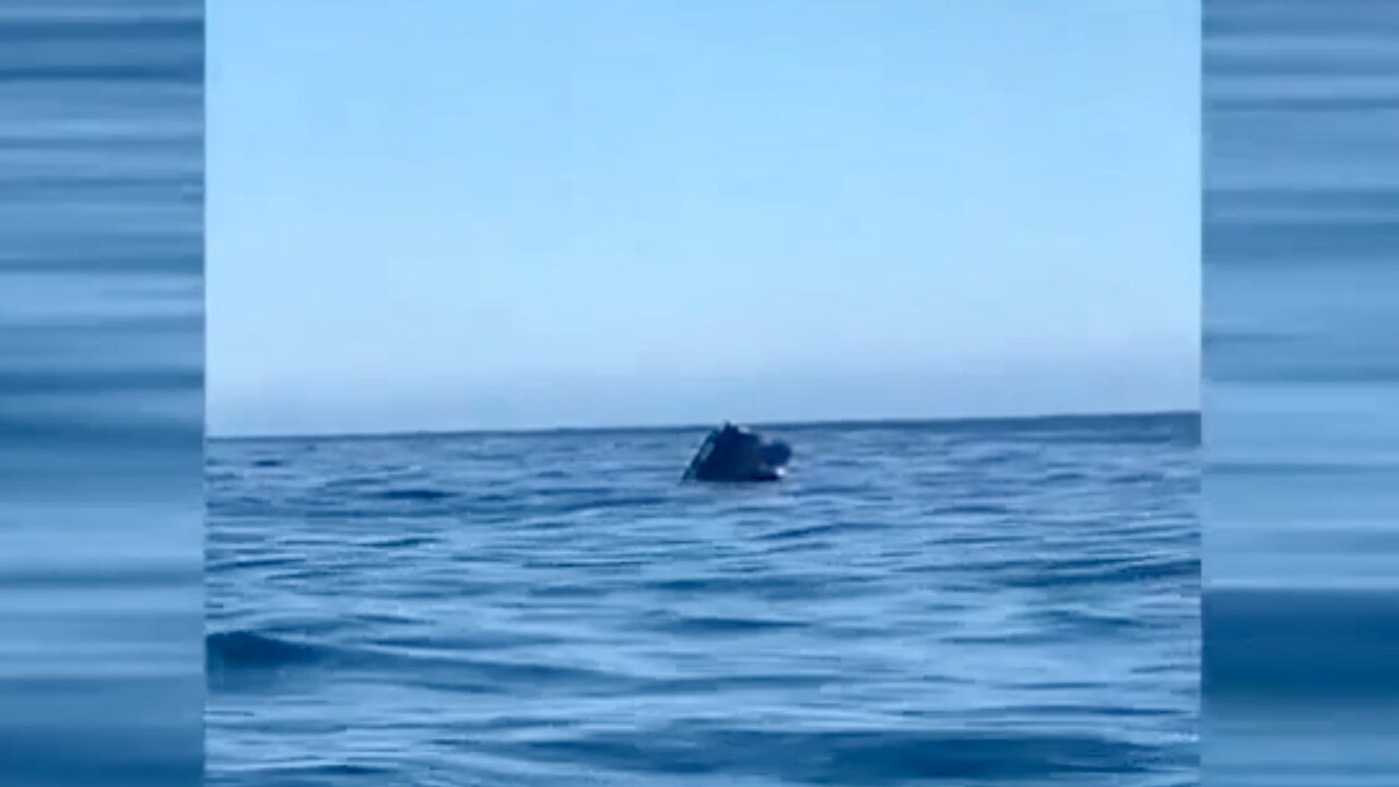 Kanaren-Fähre verliert Auto im Atlantik zwischen La Gomera und Teneriffa