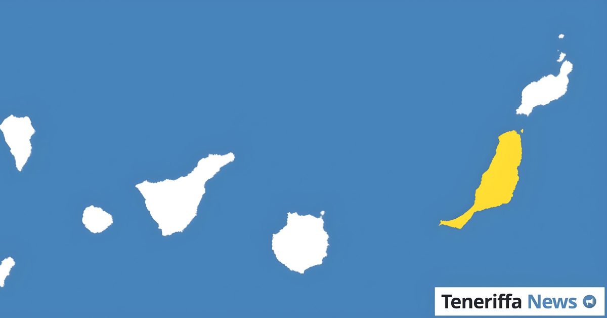 Kanarische Weine triumphieren mit 91 Auszeichnungen • Fuerteventura-Newsticker
