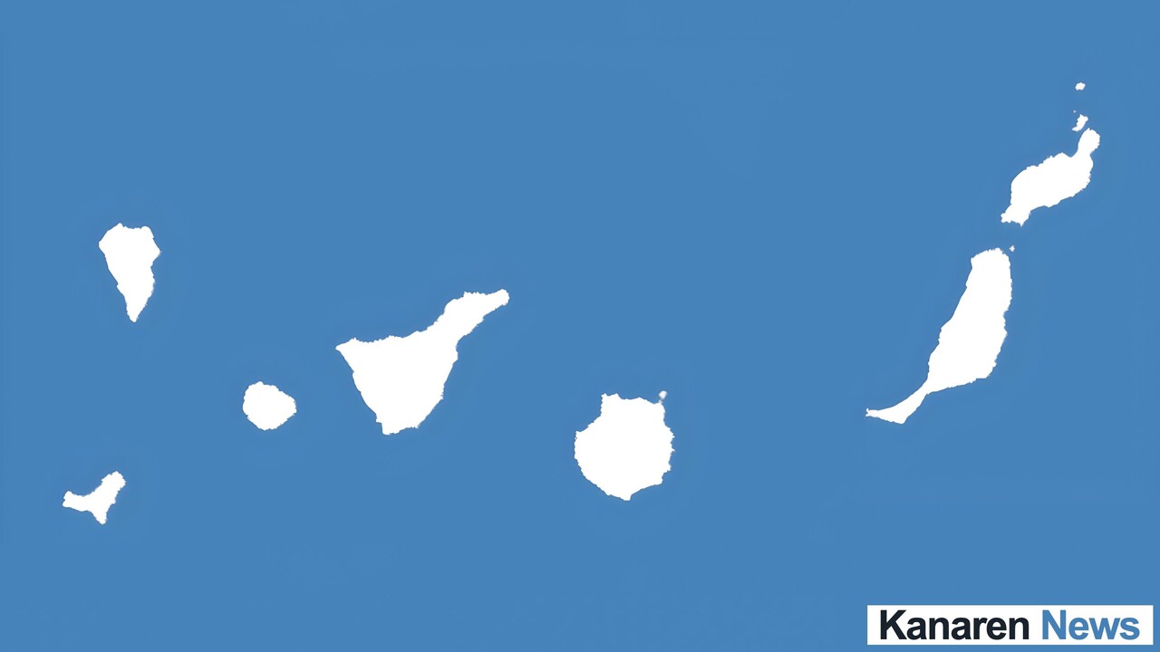Totes Walbaby vor Lanzarote entdeckt