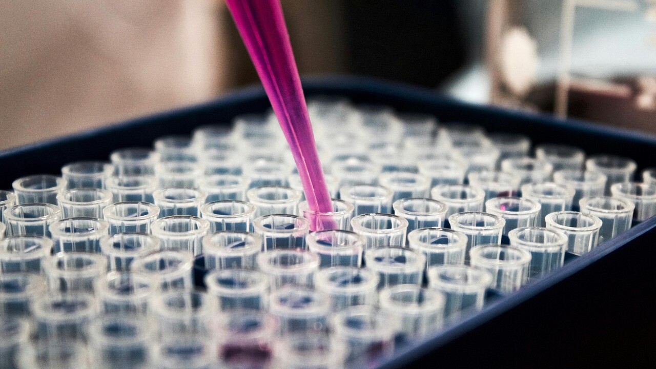 Kanaren: Multiresistente Keime in aufbereitetem Wasser entdeckt
