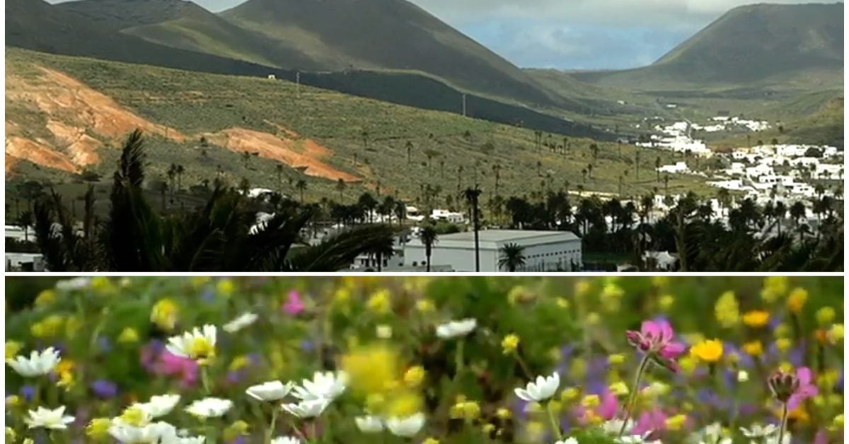 Nach Unwetter: So haben Sie Lanzarote noch nie gesehen!