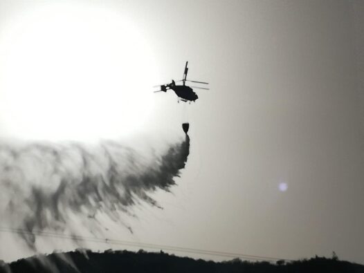Fotos und Videos vom Waldbrand auf Gran Canaria