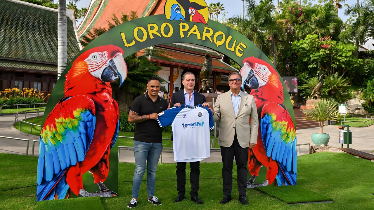 Loro Parque wird Sponsor von CD Teneriffa