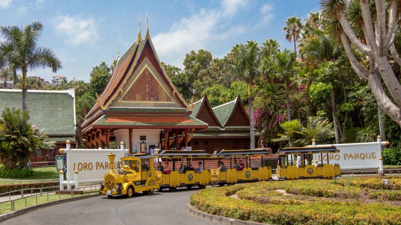 Travellers‘ Choice: Loro Parque erneut zum besten Zoo der Welt gewählt