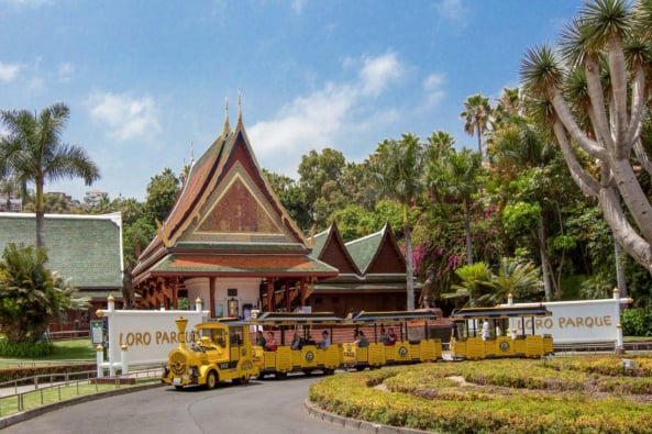 Loro Parque Teneriffa Eingang