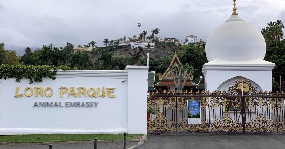 Gäste-Datenschutz missachtet: Loro Parque muss saftige Strafe zahlen