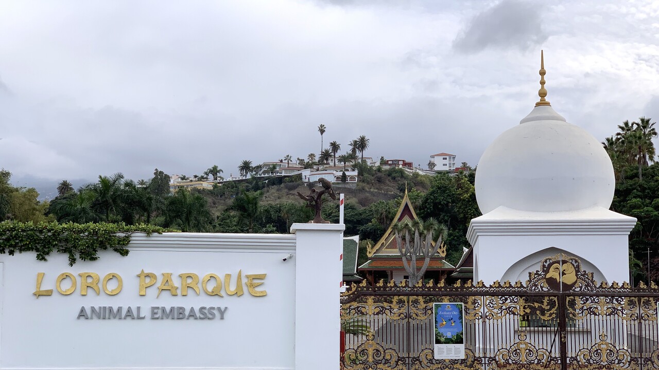 Loro Parque öffnet nach 13 Monaten wieder seine Türen