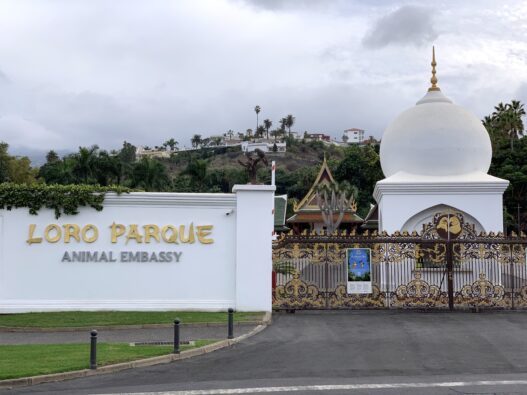 Loro Parque muss saftige Strafe zahlen