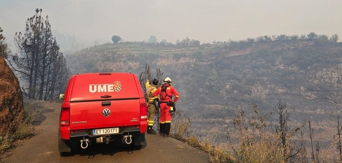 La Palma Waldbrand Feuer 07-2023 UME