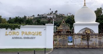Loro Parque öffnet nach 13 Monaten wieder seine Türen