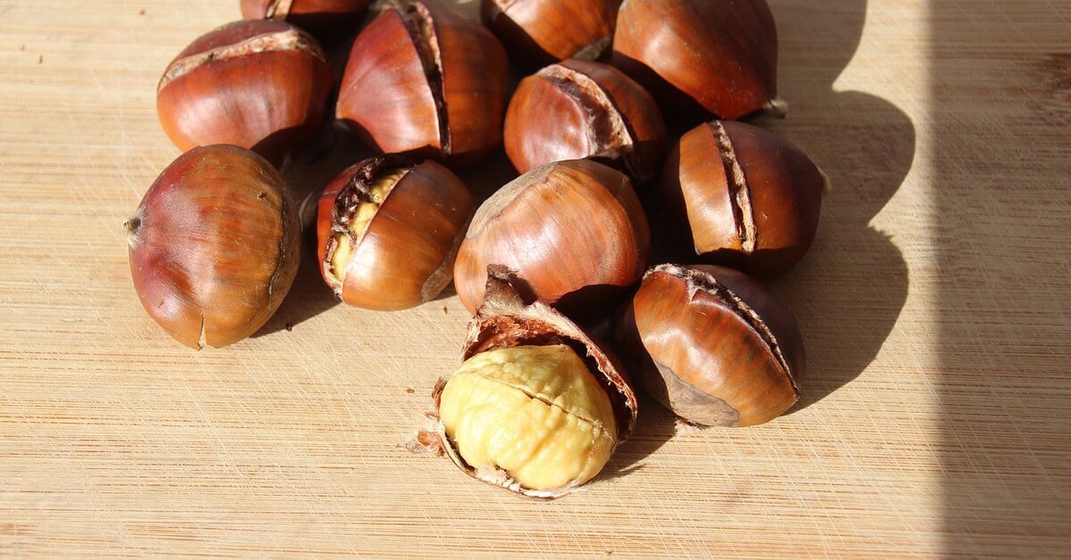 Maronen selber rösten – unser Rezept