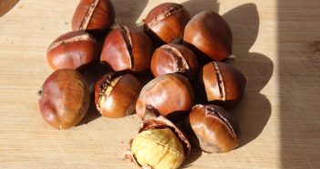 Kanaren Maronen Rezept