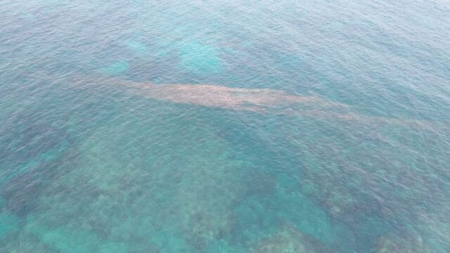 Schlechte Wasserqualität: Auf Teneriffa werden wieder mehrere Strände gesperrt