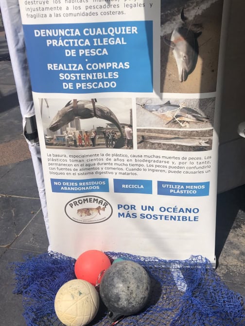 Müll Wasser Info Teneriffa Meer