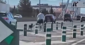Mann Hund Autobahn Fahrrad Polizei Granada
