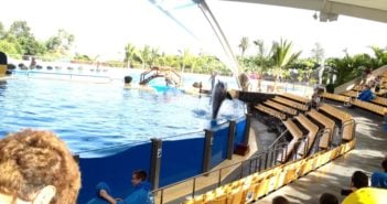 Zuschauerraum Orca Ocean Loro Parque Teneriffa
