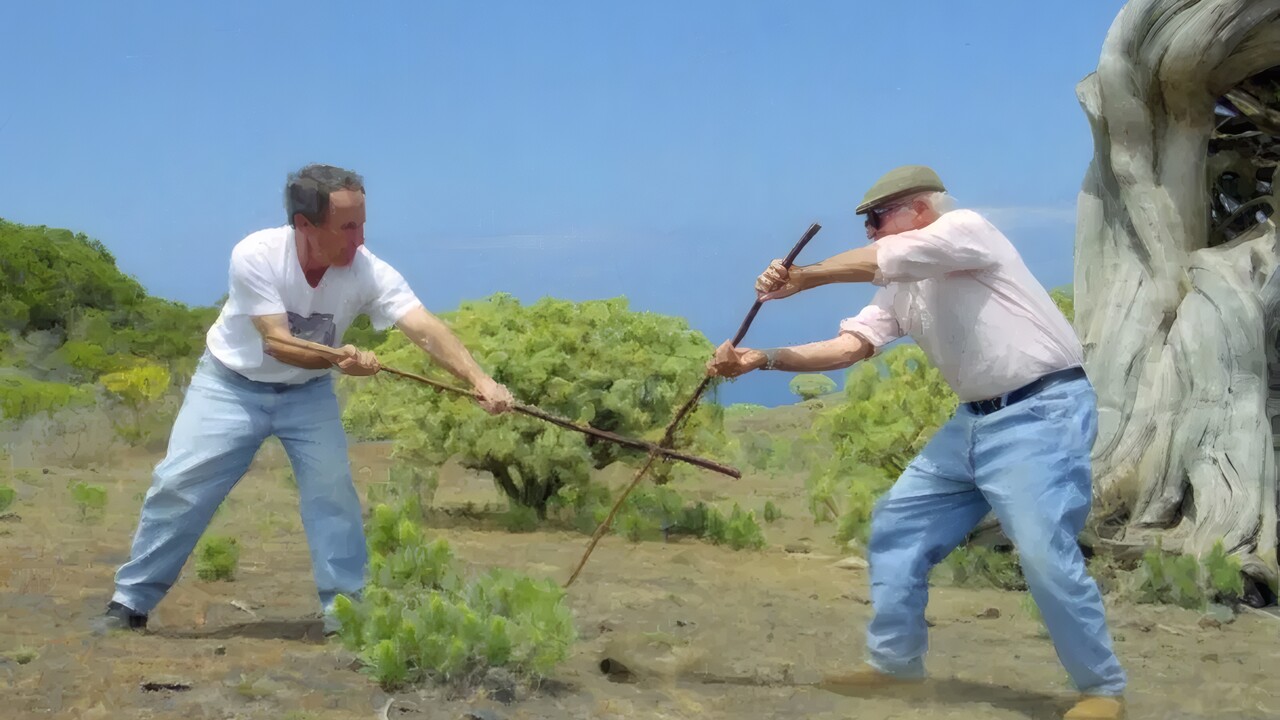 El Hierro: Kampfsport Palo im Quintero-Stil wird Kulturgut