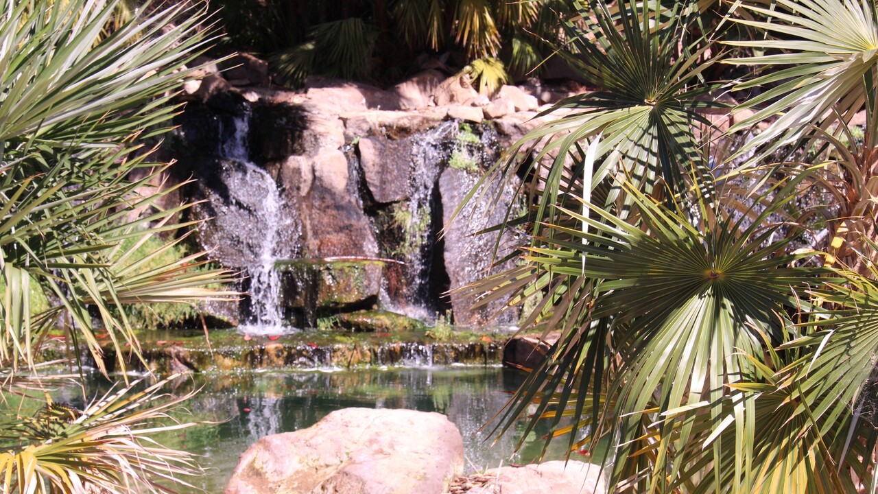 Palmetum in Santa Cruz: Einst Müllhalde, jetzt wunderschöner Park