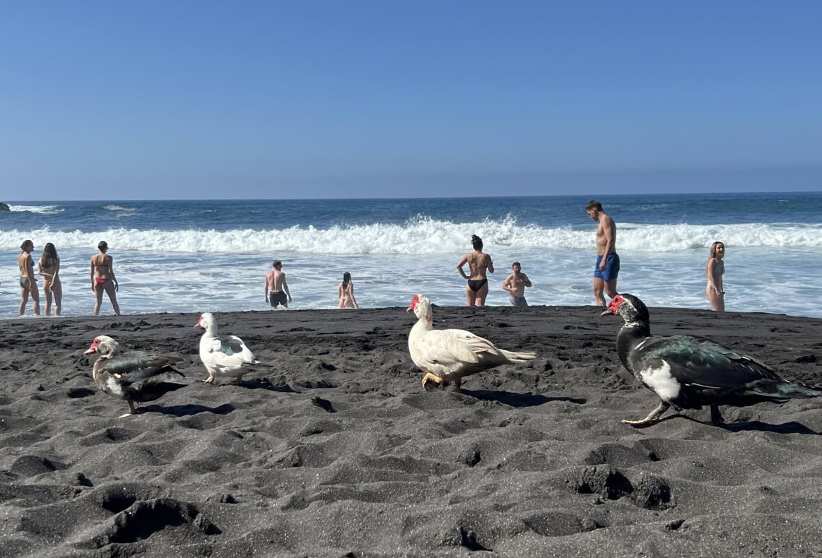 Playa Bollullo Teneriffa 10