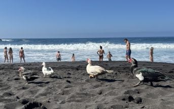 Playa Bollullo Teneriffa 10