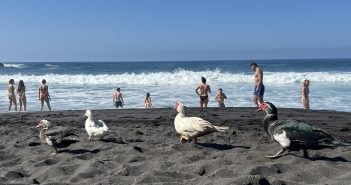 Playa Bollullo Teneriffa 10