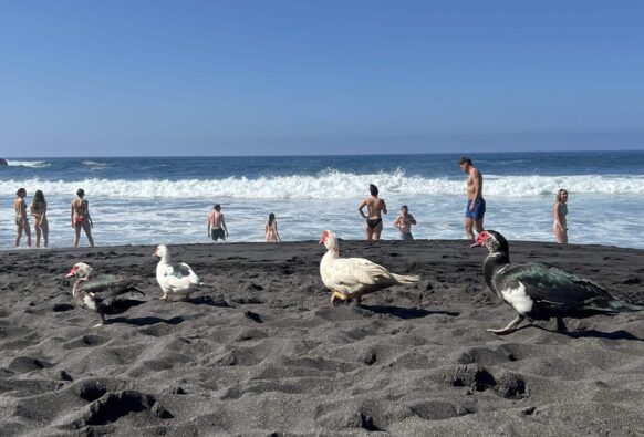 Fotos: Schön und gefährlich – das ist die Playa Bollullo auf Teneriffa