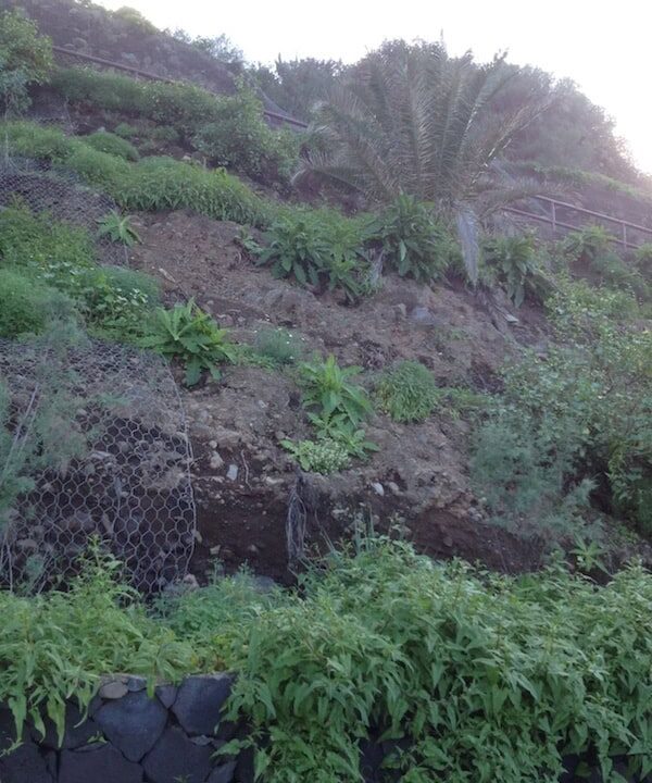 Los Realejos: Erdrutsch-Gefahr an Playa El Socorro