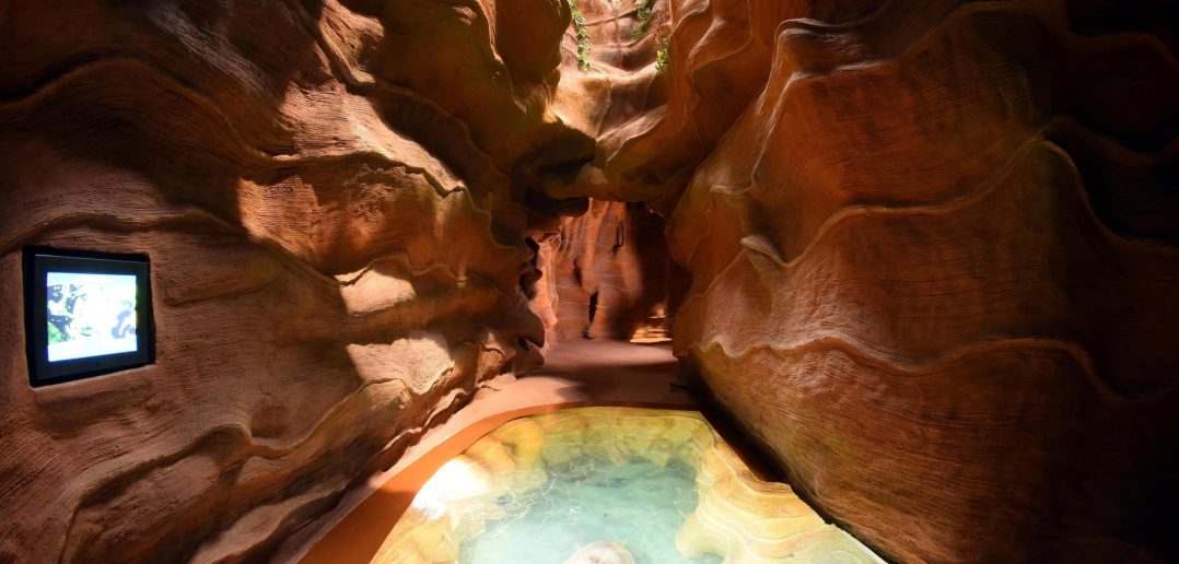 Poema del Mar Gran Canaria Aquarium Grotte