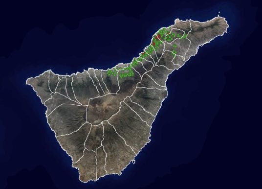 Reblaus-Plage auf Teneriffa: Hier sehen Sie alle Ausbrüche in Echtzeit