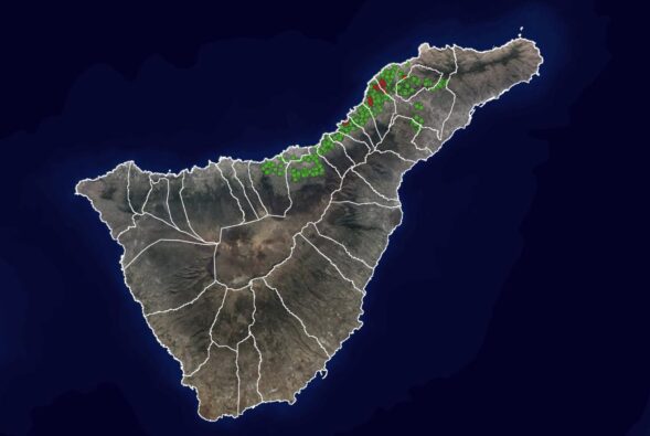 Reblaus-Plage auf Teneriffa: Hier sehen Sie alle Ausbrüche in Echtzeit