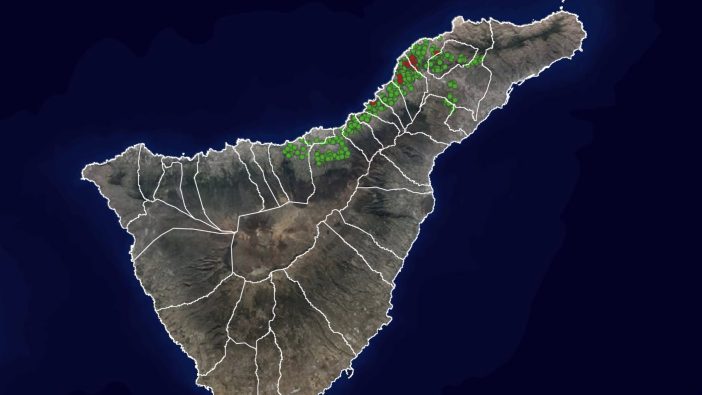 Reblaus-Plage auf Teneriffa: Hier sehen Sie alle Ausbrüche in Echtzeit