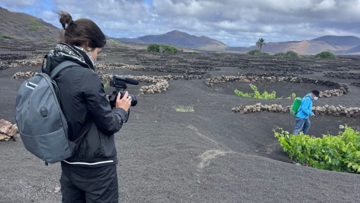 Serie Malvasía Laura Pérez Gómez Lanzarote