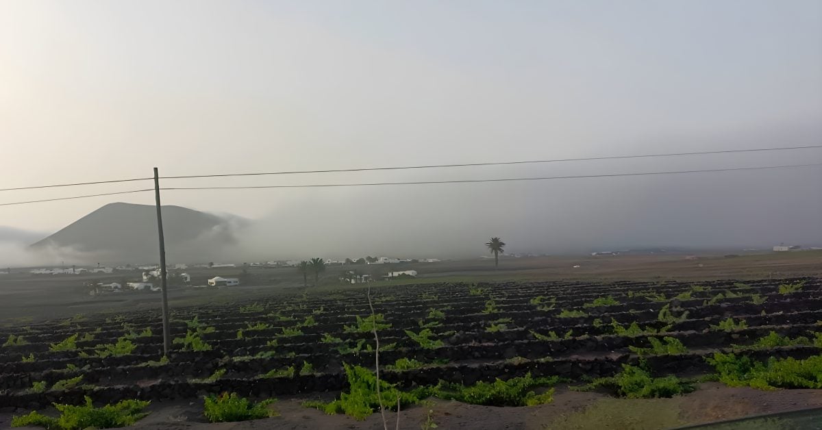 Strahlungsnebel: Seltenes Wetterphänomen auf Lanzarote