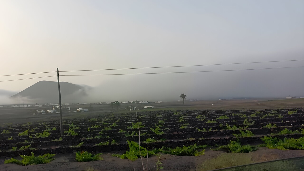 Strahlungsnebel: Seltenes Wetterphänomen auf Lanzarote