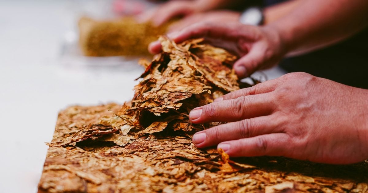 Tabak-Imperium verlagert Zigarettenproduktion auf die Kanaren