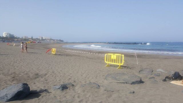 Fäkalbakterien: Strände auf Teneriffa geschlossen