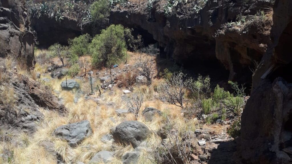 Teneriffa: Rentner erschlägt Hund mit Garten-Harke