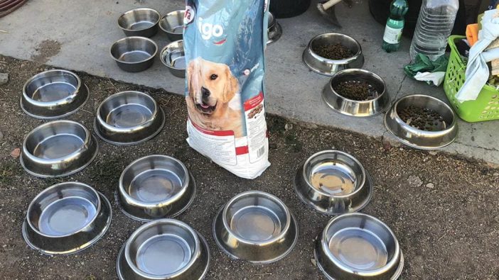 "Teide Tiere" Arche Noah Hundefutter