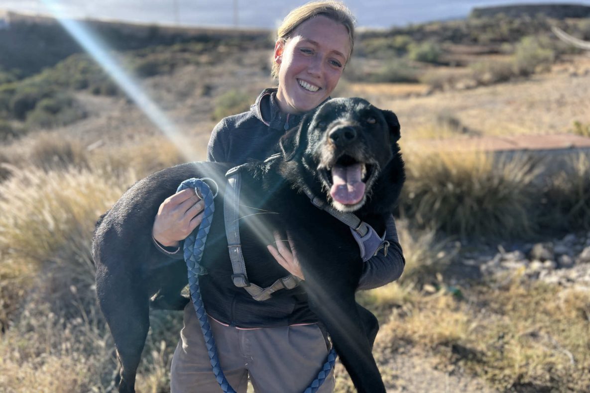 Teneriffa-Tiere Febby 2