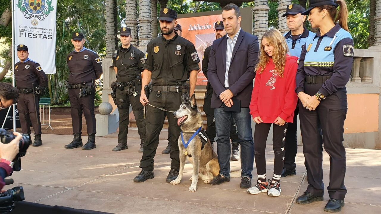 Adiós Troy! Teneriffa schickt seinen bekanntesten Spürhund in Rente