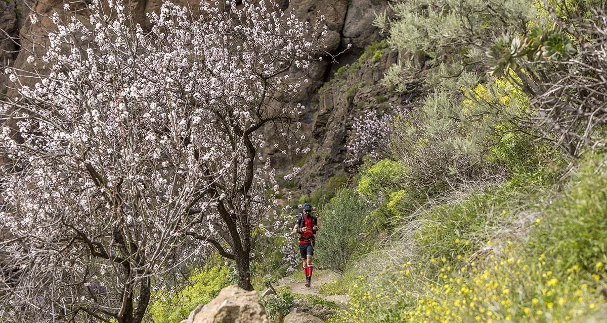 Transgrancanaria: Trail running on Gran Canaria