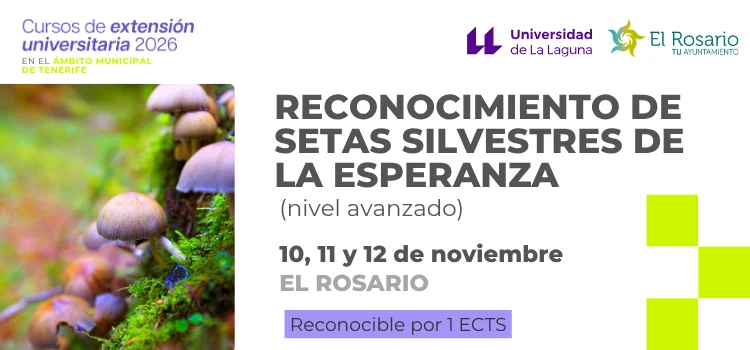 Workshop zur Wildpilzbestimmung in La Esperanza
