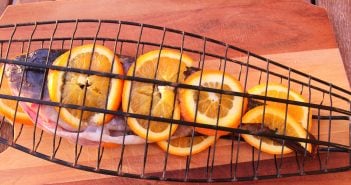 Vieja Orange Papageifisch Grill
