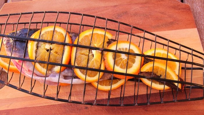 Vieja Orange Papageifisch Grill